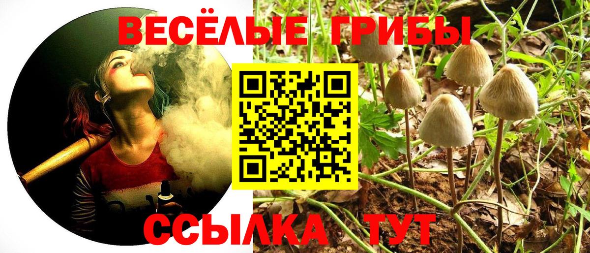 Псилоцибиновые грибы ЛСД  Галлюциногенные грибы прущие грибы  Сергиев Посад  Вход с VPN 