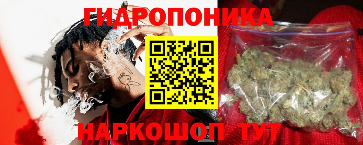 Конопля Bruce Banner Сергиев Посад
